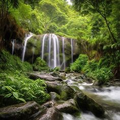 a waterfall in the middle of a forest