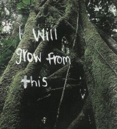 a tree with moss growing on it and the words i will grow from this written in white