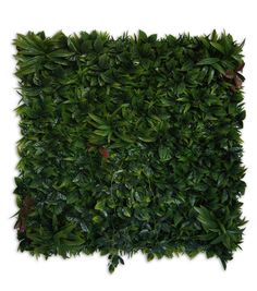 a green wall made out of leaves on top of each other in front of a white background