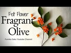 an orange flower with green leaves on it and the words fet flower fragant olive