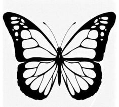 a black and white image of a butterfly