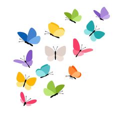 a group of colorful butterflies flying in the air