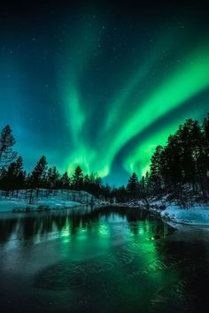 the aurora bore is glowing green in the night sky over a frozen lake and forest