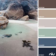 the color palette is blue, brown, and green with some rocks in the background