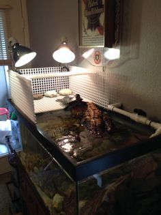 an overhead view of a fish tank in a room with other items on the wall