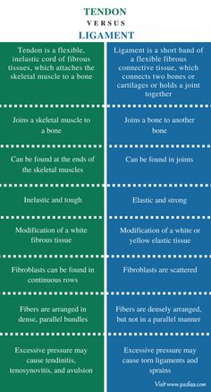 two different types of words that are used to describe the meaning of each word and how they