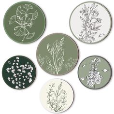 four round coasters with different plants on them