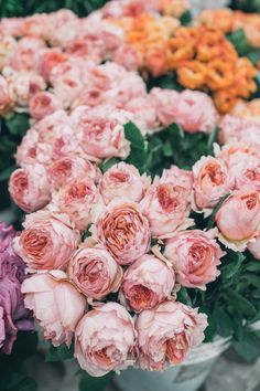 many different types of flowers in white vases on display at a flower shop, including pink and orange peonies