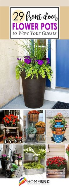 the cover of 29 front door flower pots to show your guests