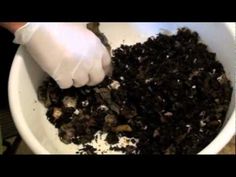 a person in white gloves is scooping out some dirt into a bowl filled with soil