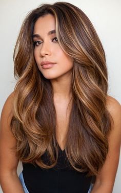 Honey Hair With Highlights, Warm Honey Brown Hair Balayage, Caramel Brown Hair Honey, Honey Highlights On Brown Hair, Warm Honey Brown Hair, Honey Highlights On Dark Hair, Honey Brown Hair With Highlights, Honey Colored Hair