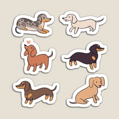 six different colored dachshunds stickers on a gray background with white border