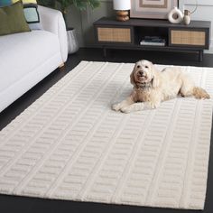 a dog laying on top of a rug in a living room