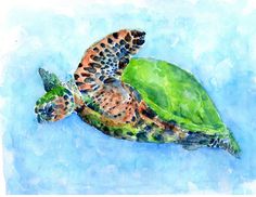 a watercolor painting of a turtle swimming in the blue ocean with it's head turned to the side