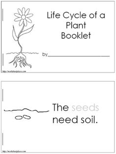 two bookmarks with the words, life cycle of a plant booklet and the seeds need soil