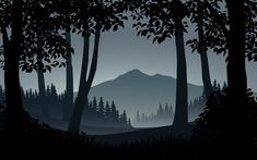 a dark forest with trees and mountains in the background