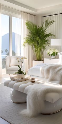 a large white bed sitting in a bedroom next to a tall green plant and window