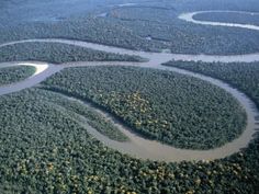 an aerial view of a river surrounded by trees