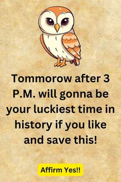 an owl with the words tomorrow after 3 pm will gonna be your luckest time in history if you like and save this