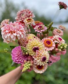 a person's hand holding a bunch of flowers in their left hand, with other flowers in the background