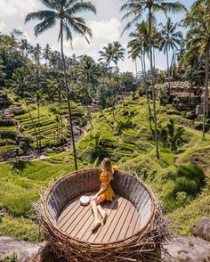 a woman sitting in a basket on top of a lush green hillside next to palm trees