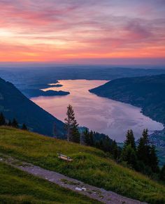 a bench sitting on top of a lush green hillside next to a lake at sunset