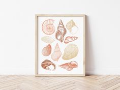 an art print with seashells on it in a wooden frame against a white wall