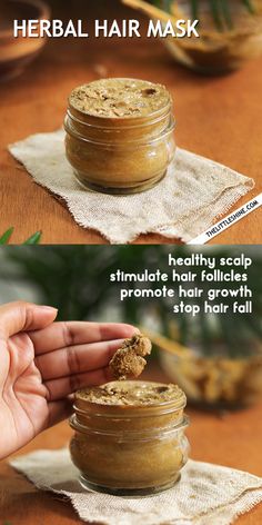 6 BEST SCALP SCRUB RECIPES FOR HEALTHY HAIR GROWTH – The Little Shine Aloe For Hair, Faster Hair Growth, Clean Scalp, Hair Scrub, Homemade Hair, Strengthen Hair Follicles, Stimulate Hair Follicles, Scalp Scrub, Homemade Hair Products