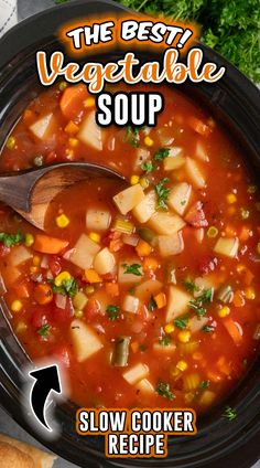 the best vegetable soup slow cooker recipe