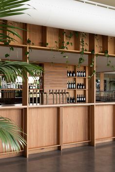 an empty bar with lots of bottles on the shelves and plants hanging from the ceiling