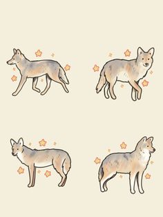 four wolfs are standing in different positions on a beige background with stars around them