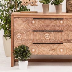 two potted plants sit on top of a wooden dresser next to another planter