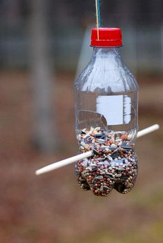 a bird feeder filled with lots of birds