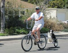 a man riding a bike with a dog attached to the front wheel and seat on it