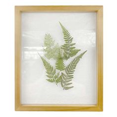 a green fern leaf is displayed in a wooden frame on a white background with light wood trim