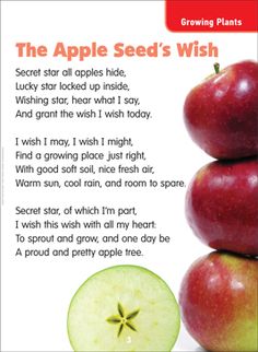 the apple seed's wish poem is written in red and green with an image of three apples stacked on top of each other