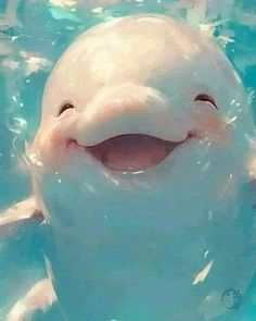 a smiling white dolphin swimming in the water