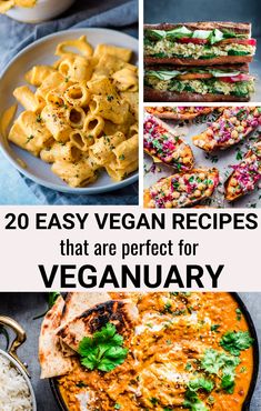 20 easy vegan recipes that are perfect for vegetarians