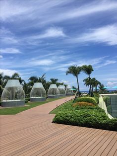 the walkway is lined with green plants and palm trees in front of some glass domes