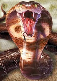 an image of a snake with its mouth open