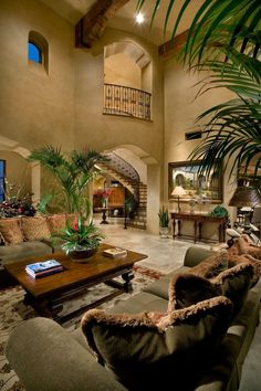 a living room filled with lots of furniture and a large plant in the middle of it