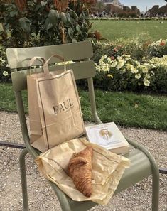 an orange cat sitting on top of a green chair next to a bag and book