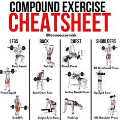 an exercise chart shows how to use dumbbells for chest and back workouts