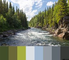 there is a river with rapids in the middle and trees on both sides, along with blue sky