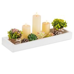 three candles are sitting on a tray with succulents and pine cones