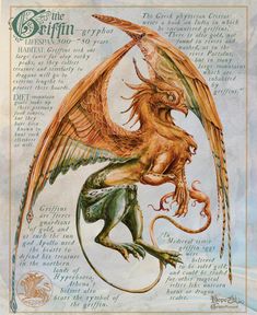 an image of a dragon with wings on it's back