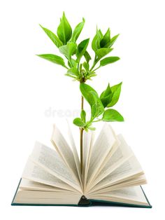 an open book with a plant growing out of it