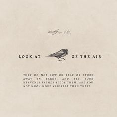 a bird sitting on top of a piece of paper with the words look at of the air