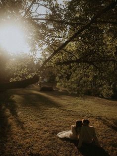 two people sitting in the grass under a tree