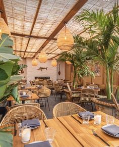 an outdoor dining area with wicker chairs and wooden tables, palm trees in the background